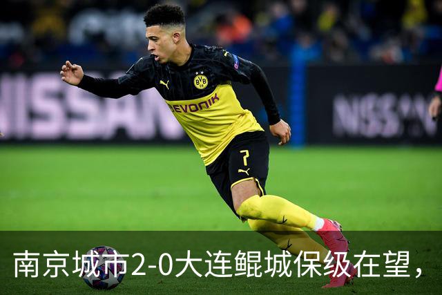 南京城市2-0大连鲲城保级在望，纪政玉乌龙，泽-维托尔点射
