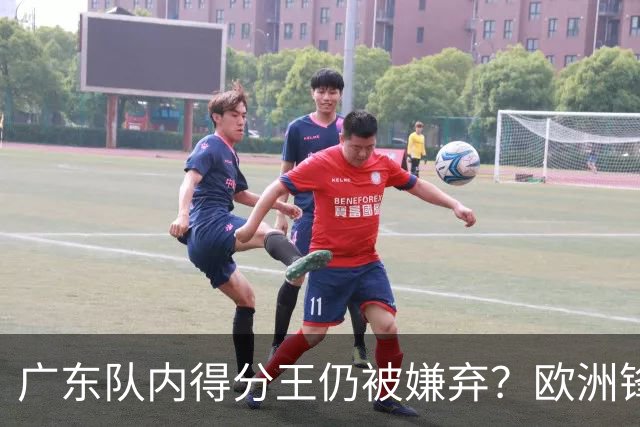 广东队内得分王仍被嫌弃？欧洲锋线外援场均20+7被批复古打法