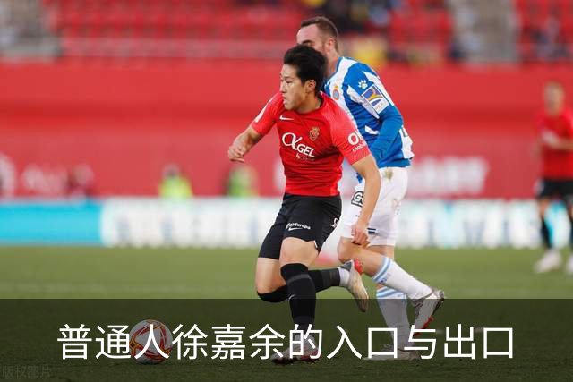 普通人徐嘉余的入口与出口